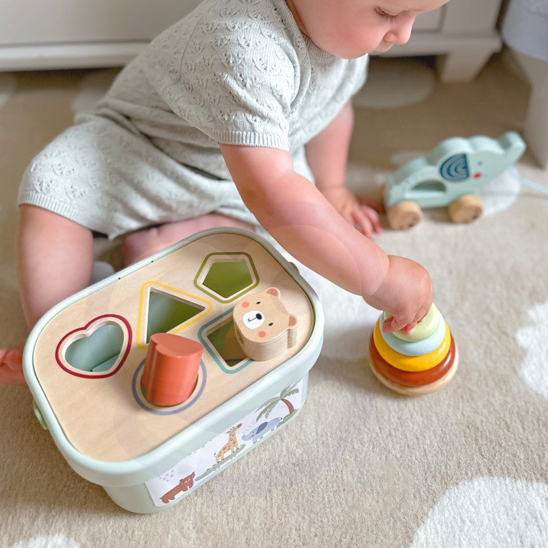 3in1 Toy Box - Sorting Blocks, Stackable Pyramid and Elephant On Wheels